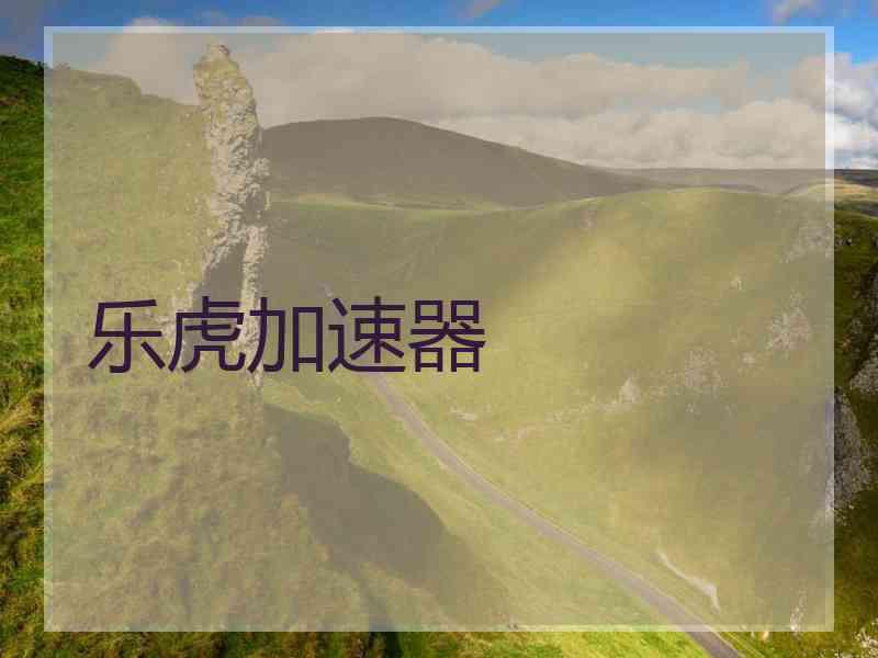 乐虎加速器