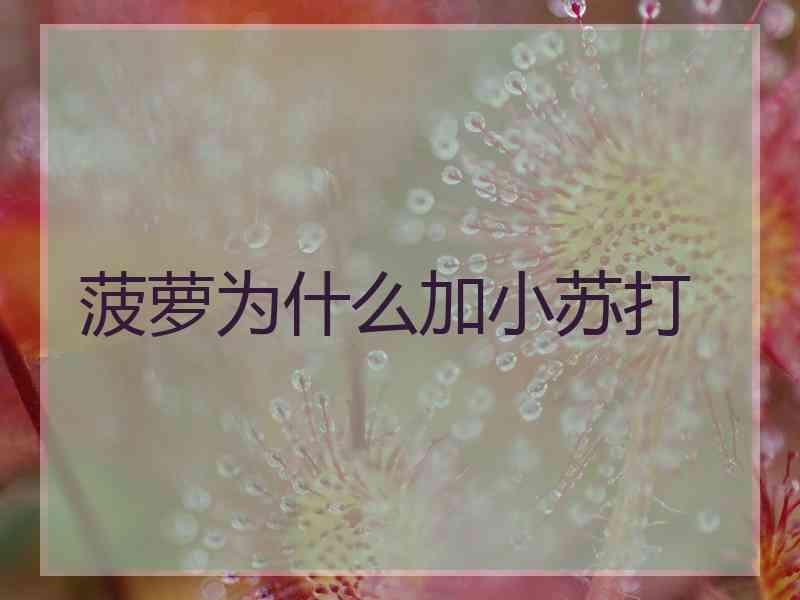 菠萝为什么加小苏打