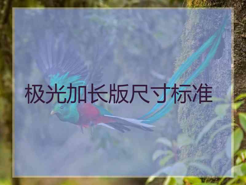 极光加长版尺寸标准
