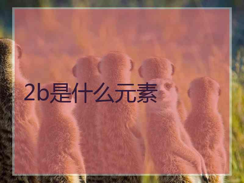 2b是什么元素