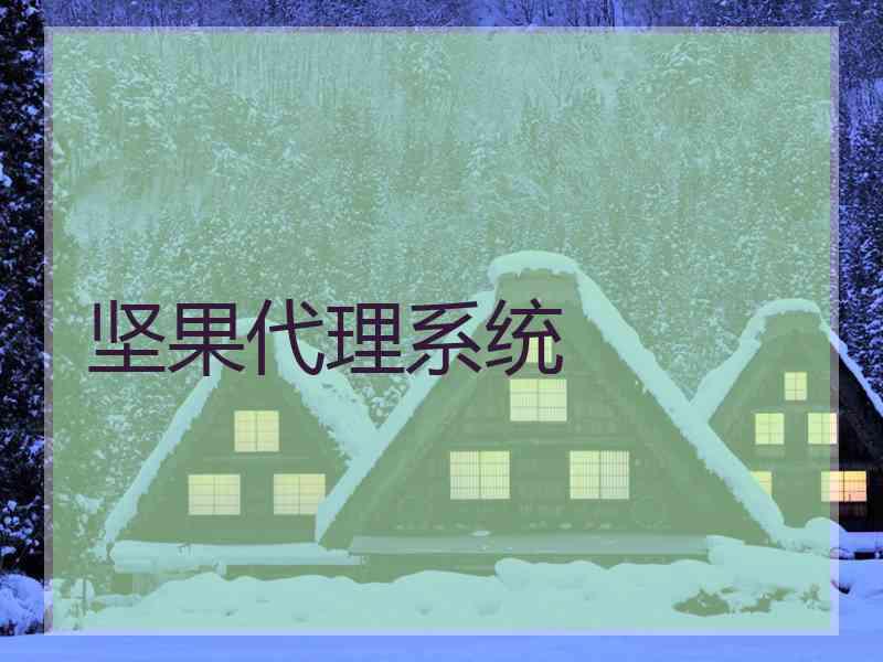 坚果代理系统