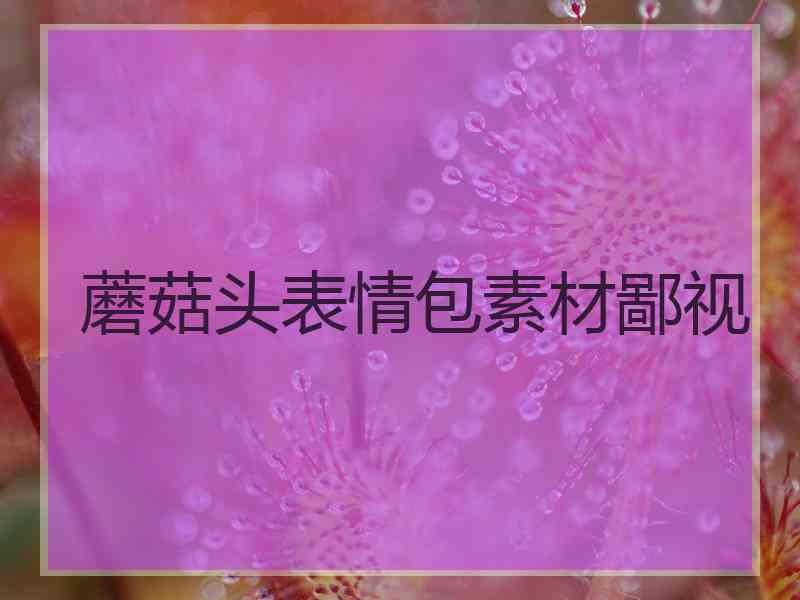蘑菇头表情包素材鄙视