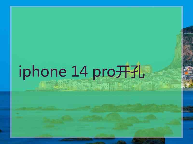 iphone 14 pro开孔