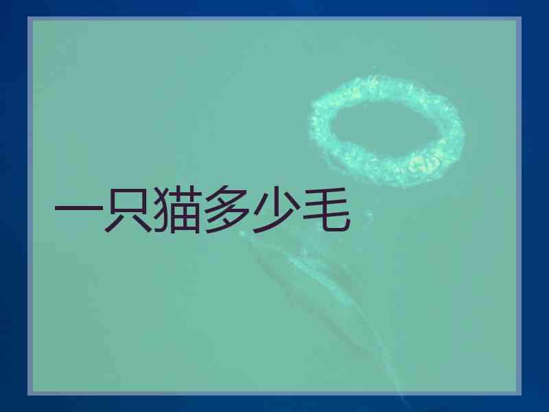 一只猫多少毛
