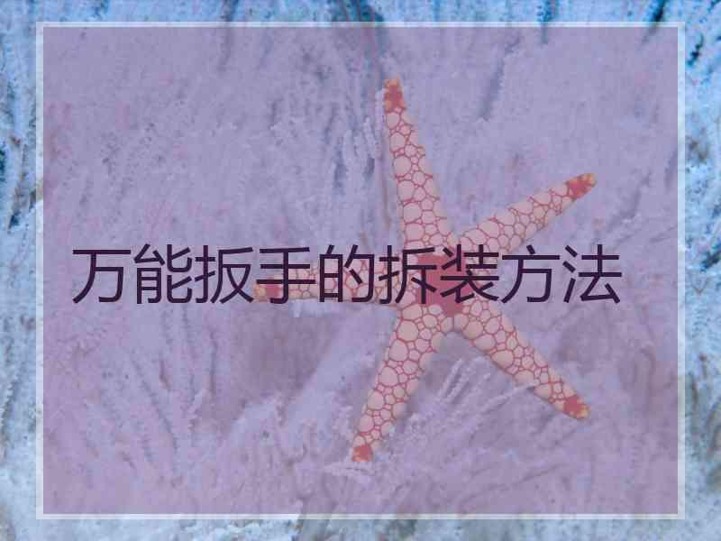 万能扳手的拆装方法