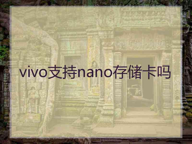 vivo支持nano存储卡吗