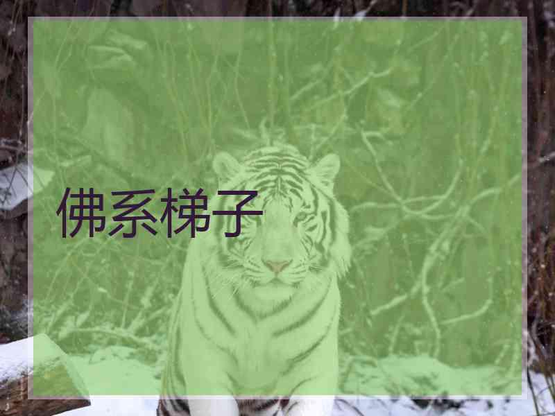 佛系梯子