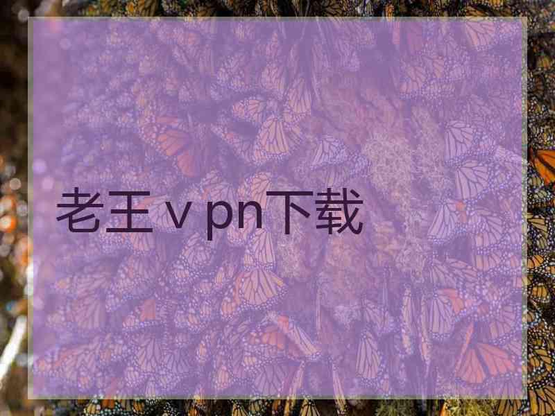 老王ⅴpn下载