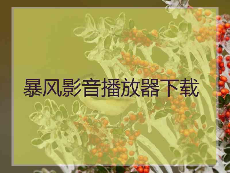 暴风影音播放器下载