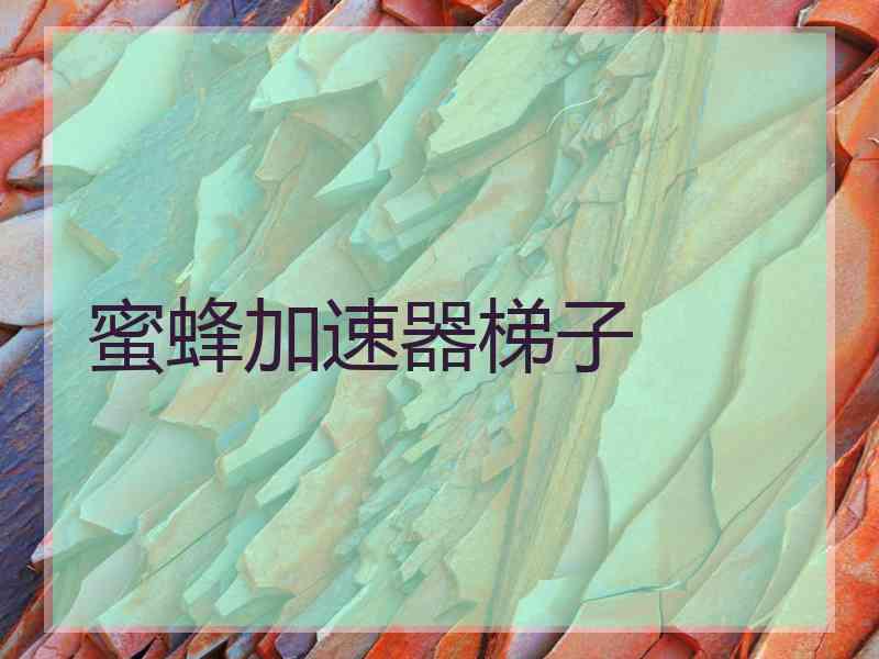 蜜蜂加速器梯子