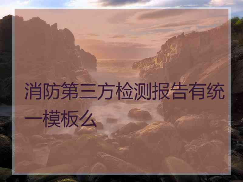消防第三方检测报告有统一模板么