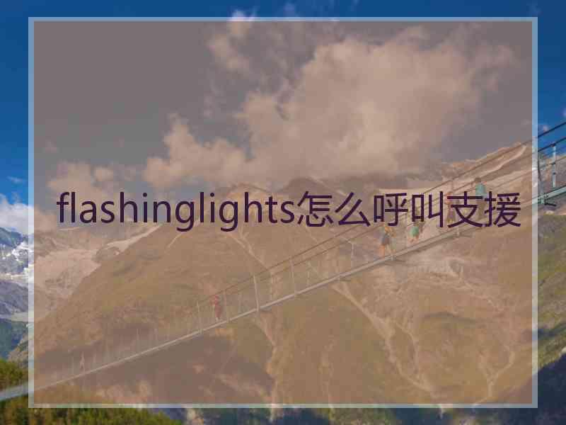 flashinglights怎么呼叫支援