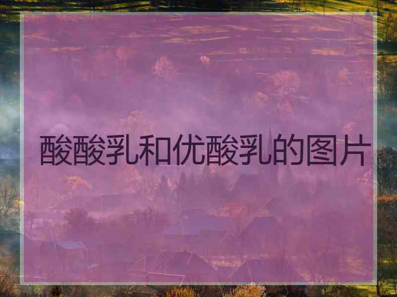 酸酸乳和优酸乳的图片