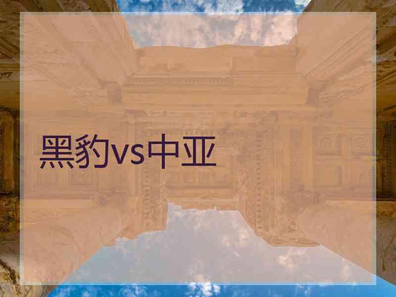 黑豹vs中亚