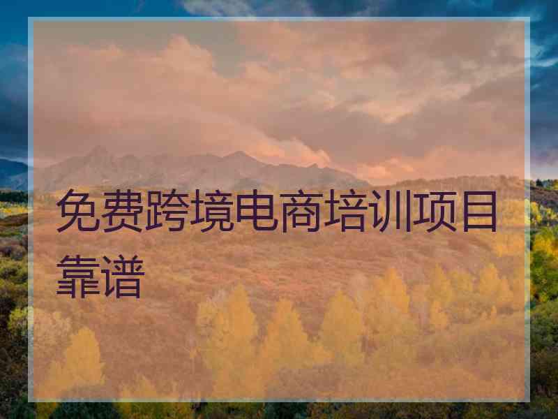 免费跨境电商培训项目靠谱