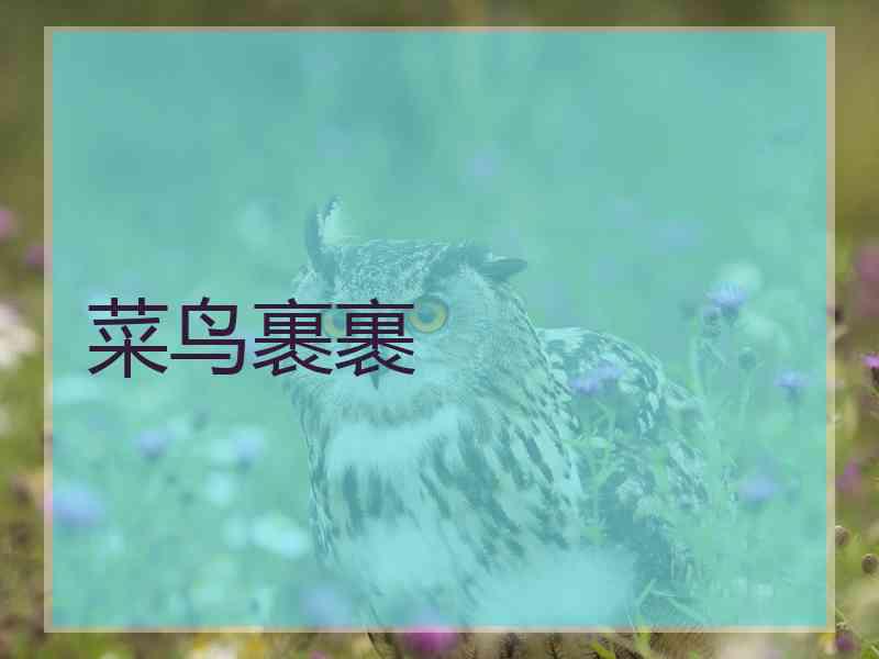菜鸟裹裹