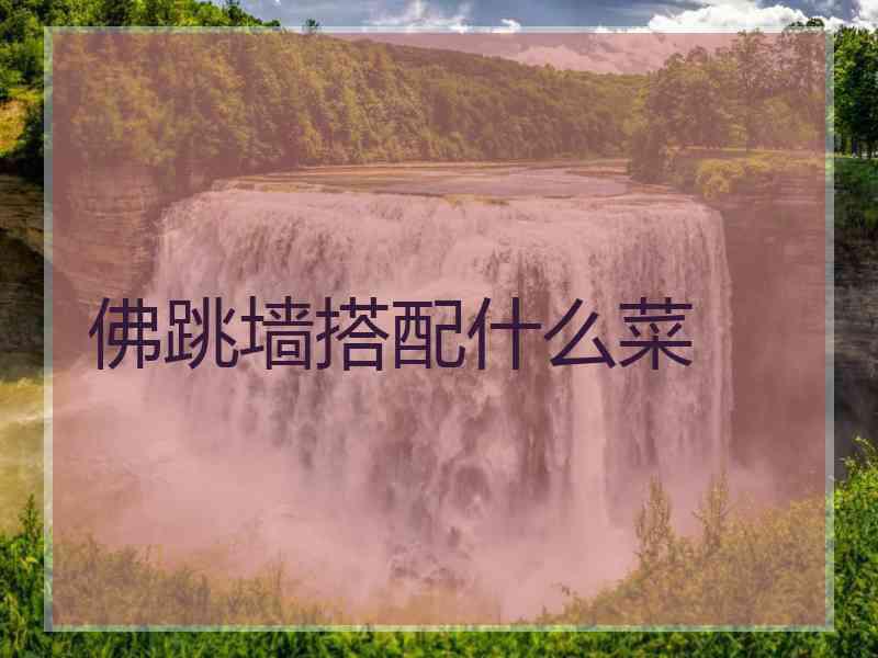 佛跳墙搭配什么菜