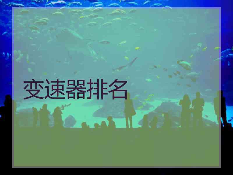 变速器排名
