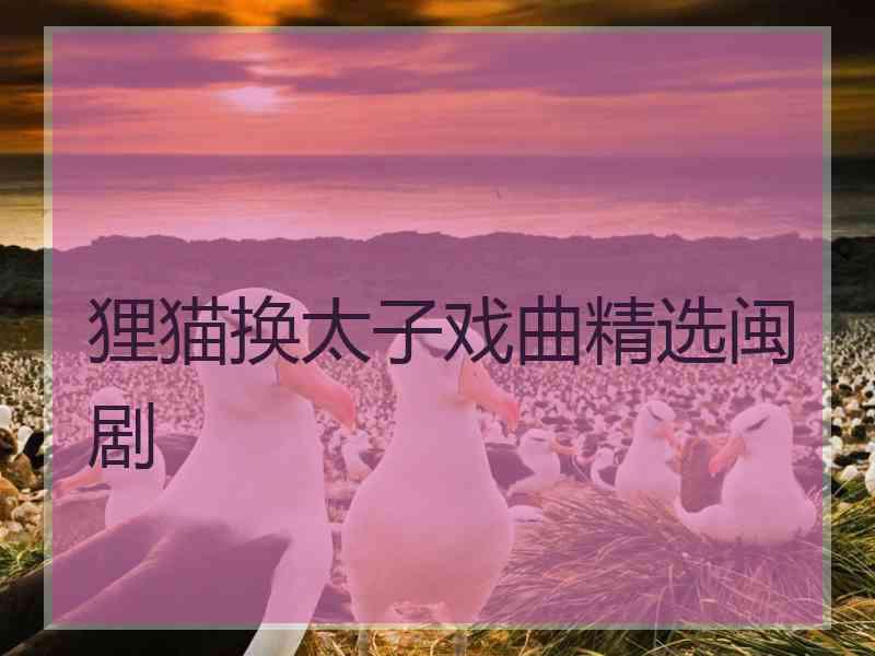 狸猫换太子戏曲精选闽剧