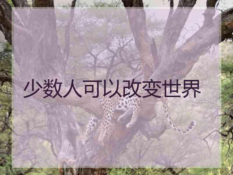 少数人可以改变世界