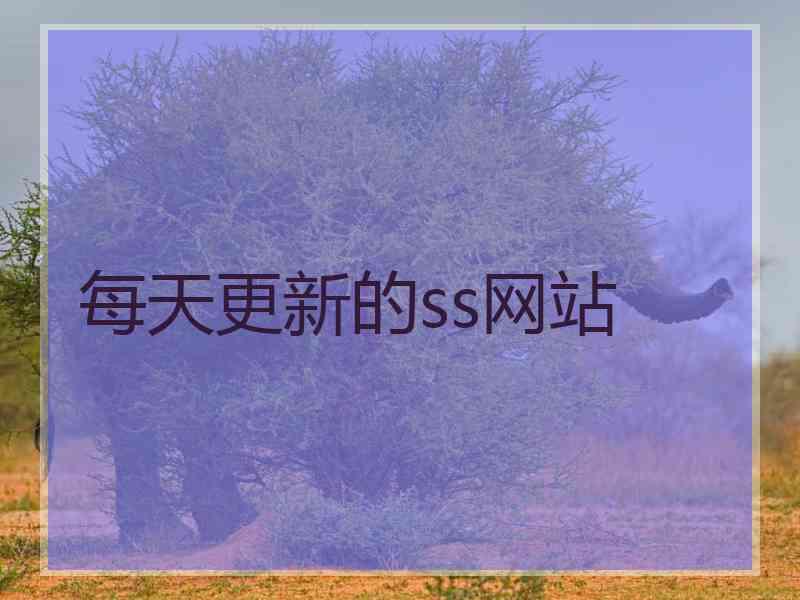每天更新的ss网站