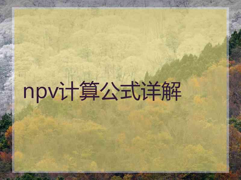 npv计算公式详解