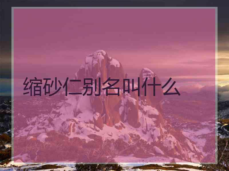 缩砂仁别名叫什么