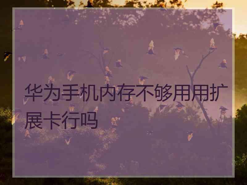华为手机内存不够用用扩展卡行吗