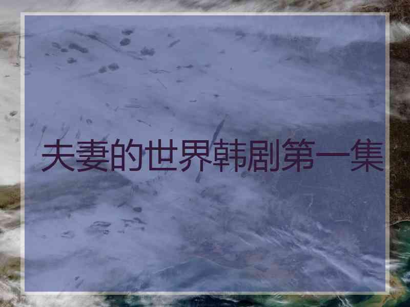 夫妻的世界韩剧第一集