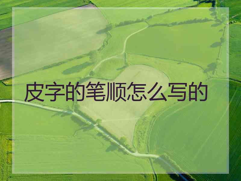 皮字的笔顺怎么写的