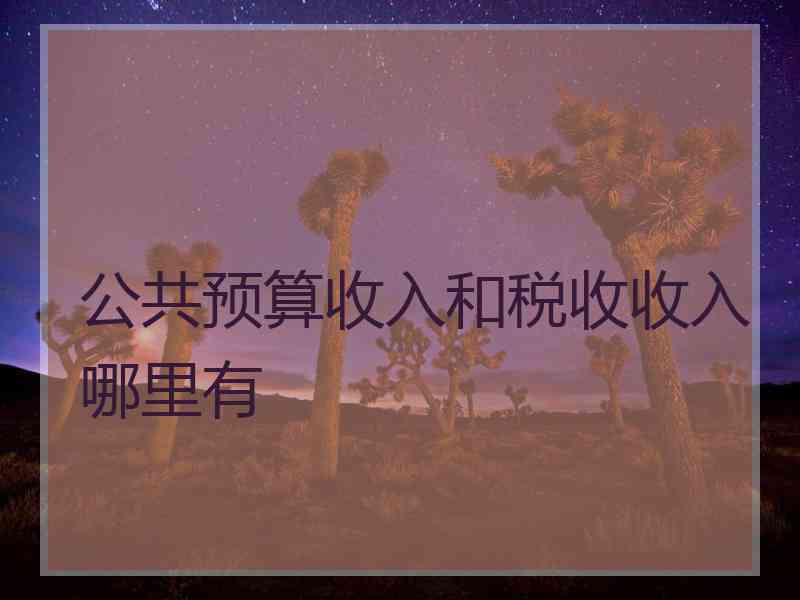 公共预算收入和税收收入哪里有
