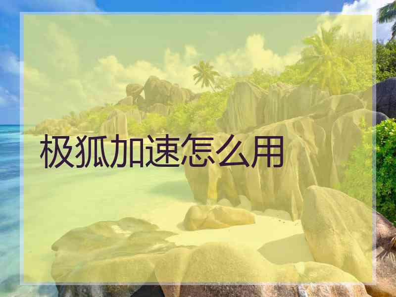 极狐加速怎么用
