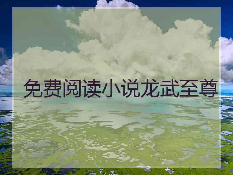 免费阅读小说龙武至尊