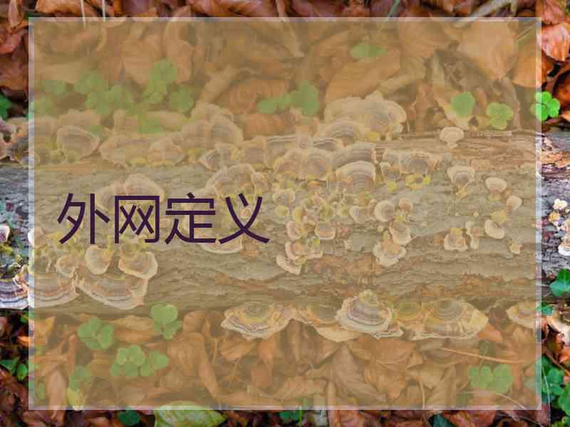 外网定义