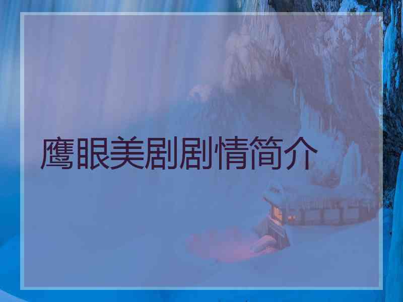 鹰眼美剧剧情简介