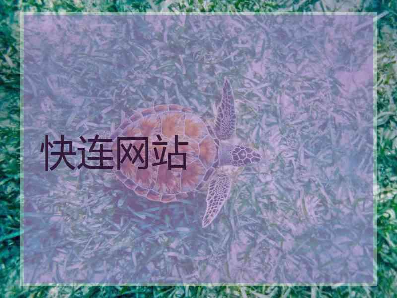 快连网站