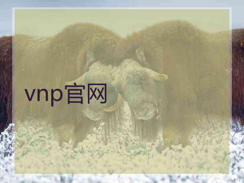vnp官网