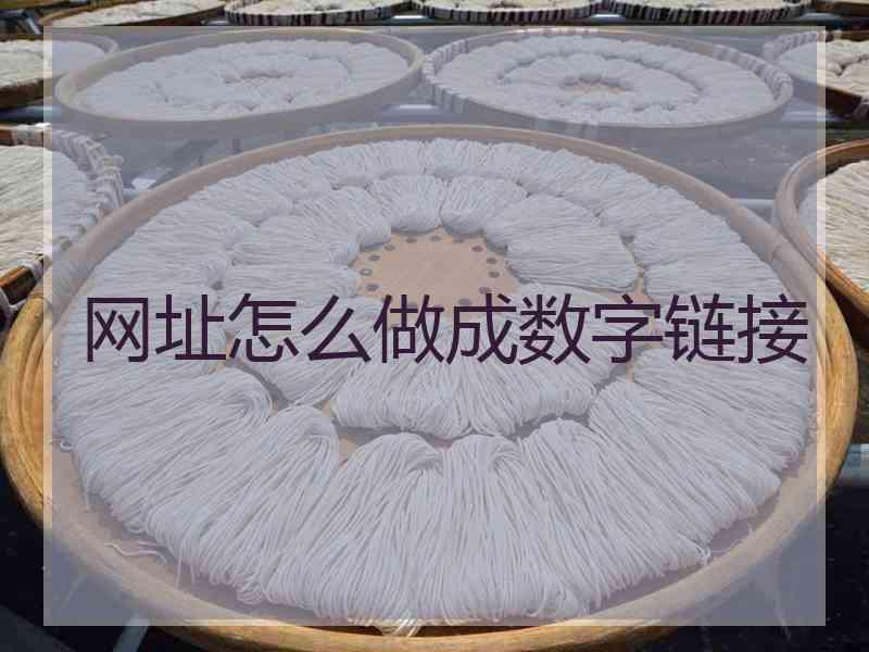 网址怎么做成数字链接