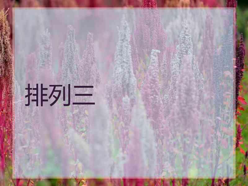 排列三