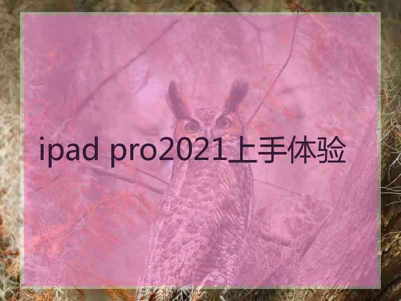 ipad pro2021上手体验