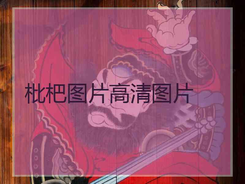 枇杷图片高清图片