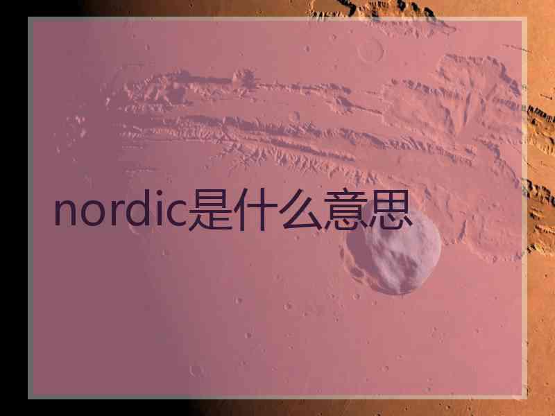 nordic是什么意思