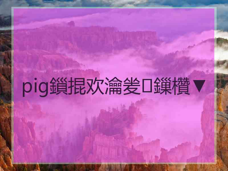 pig鎻掍欢瀹夎鏁欑▼
