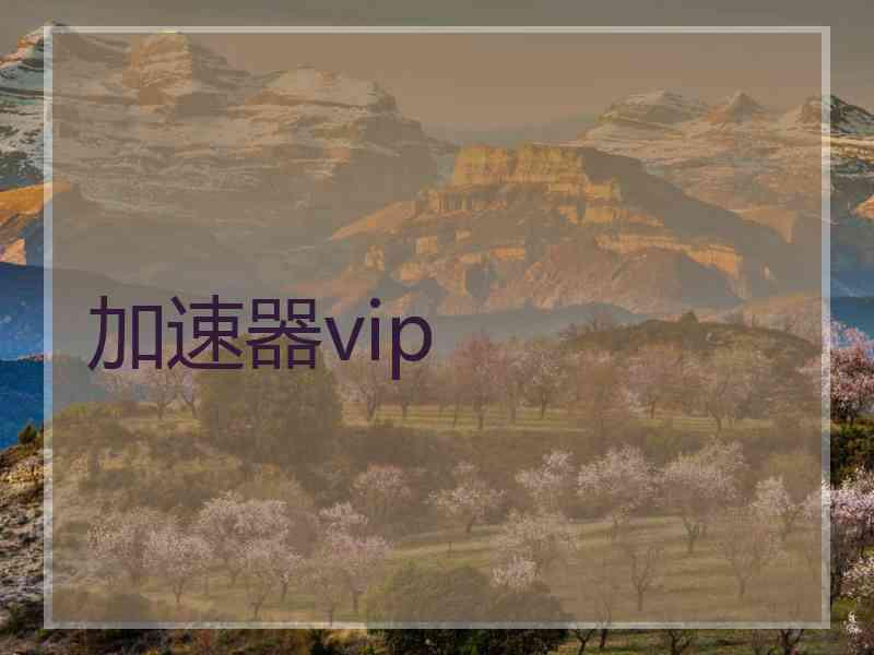 加速器vip