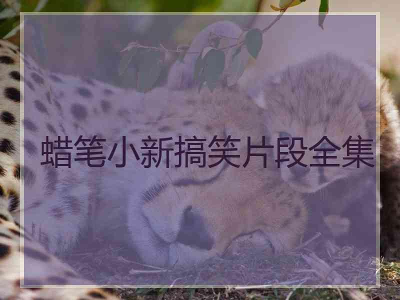 蜡笔小新搞笑片段全集