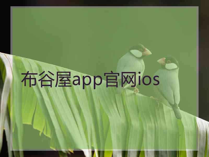 布谷屋app官网ios