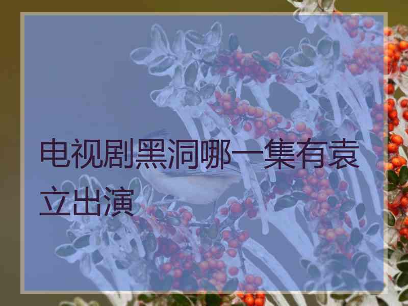 电视剧黑洞哪一集有袁立出演