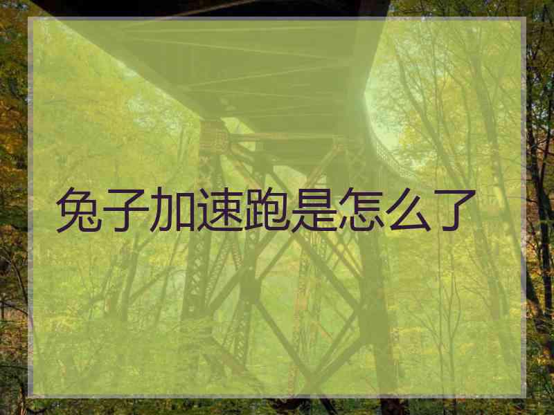 兔子加速跑是怎么了