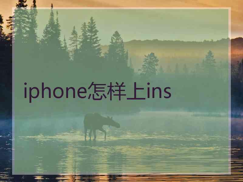 iphone怎样上ins