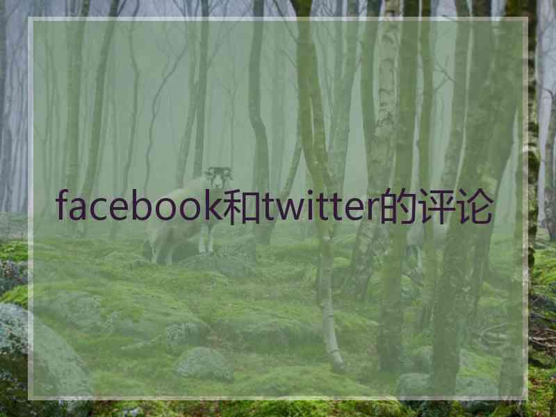 facebook和twitter的评论